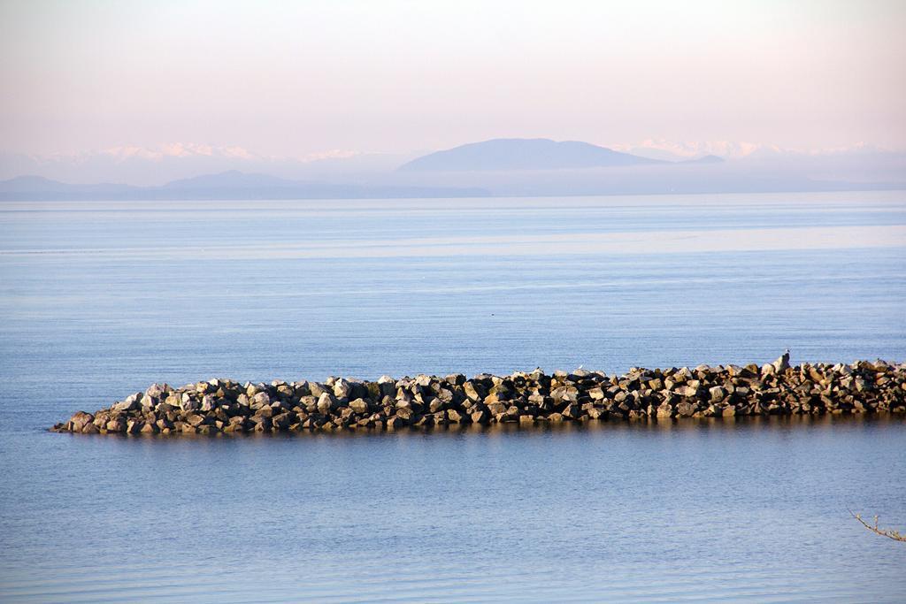 Star Of The Sea Guest House White Rock Eksteriør bilde
